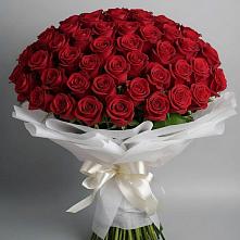 Букет 101 Красная роза Блэк Мэджик в Шахтёрске