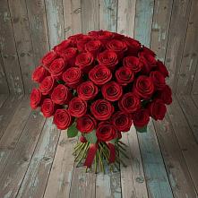 Букет 55 Красных роз Фридом #REPLACE_PRED# Шахтёрске
