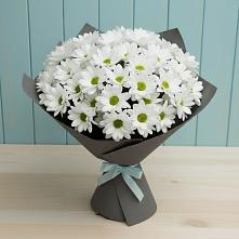 Букет цветов из:  Хризантемы #REPLACE_PRED# Шахтёрске