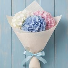 Букет цветов из:  Гортензия в Шахтёрске