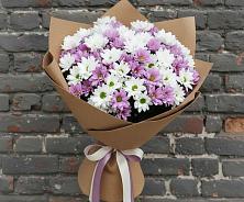 Букет цветов из:  Хризантемы в Шахтёрске