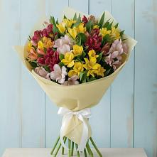 Букет цветов из:  Альстромерии в Шахтёрске