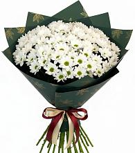 Букет цветов из:  Хризантемы в Шахтёрске