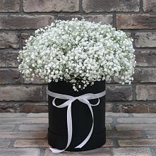 Цветочная композиция из Гипсофила в шляпной коробке в Шахтёрске