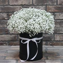 Цветочная композиция из Гипсофила в шляпной коробке в Шахтёрске